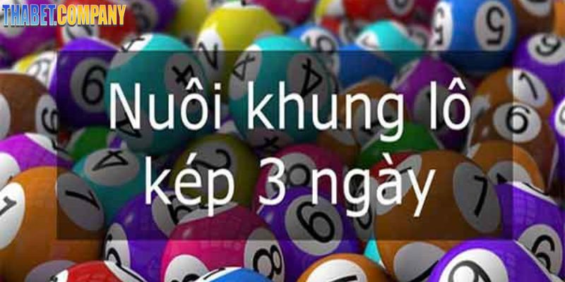 Hướng dẫn anh em cách nuôi lô kép khung 3 ngày