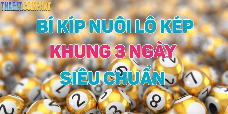 Kinh nghiệm nuôi lô kép khung 3 ngày