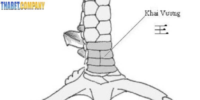 Phân biệt vảy khai vương với các vảy khác